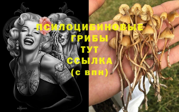 ECSTASY Аркадак