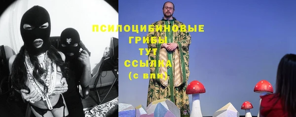 дмт Армянск