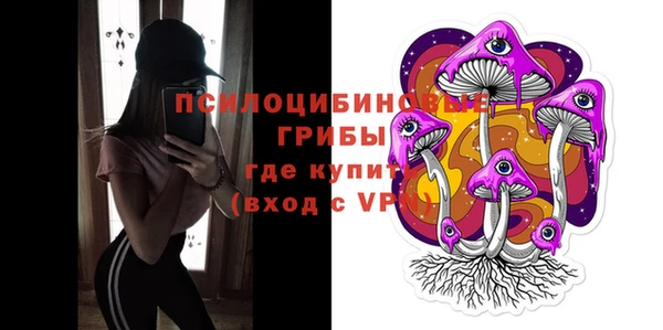 дмт Армянск